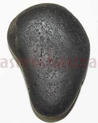 Shaligram 10732 75gm